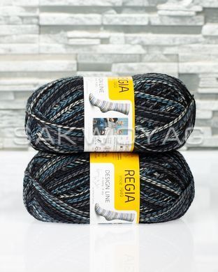 Шкарпеткова пряжа Schachenmayr Regia Design Line 03897