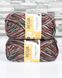Regia 4-Fadig Sock Yarn 02453